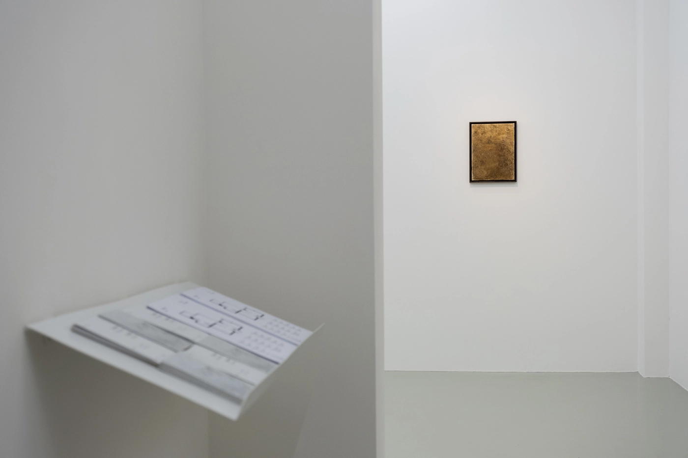 Diana Cepleanu, Vasile Gorduz