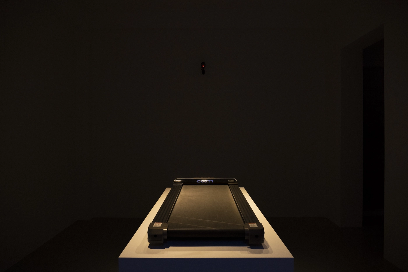 Max Svitlo, Salt Salome