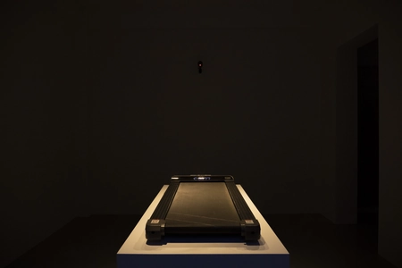 Max Svitlo, Salt Salome