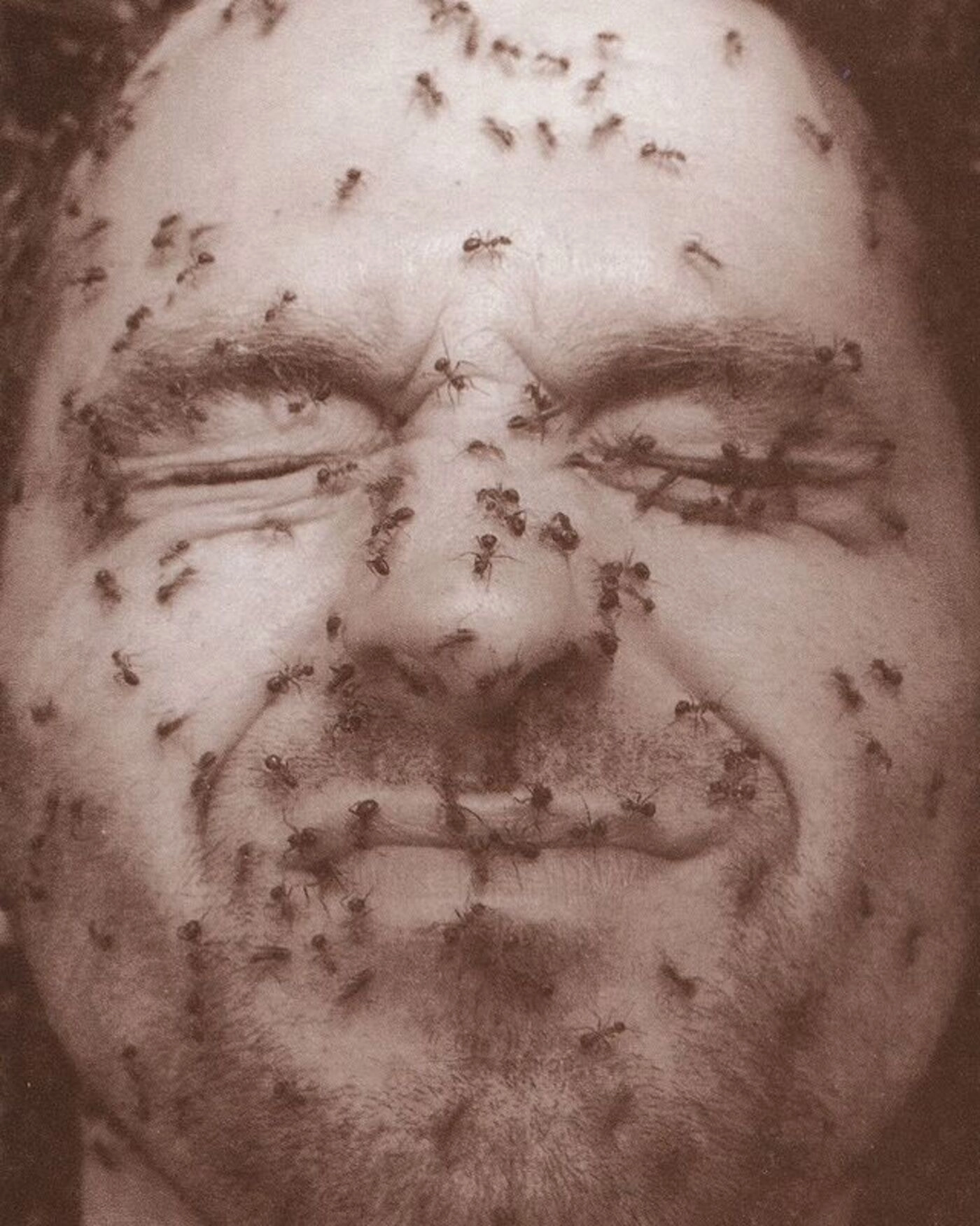 Mark Verlan, Pavel Brăila, Doina Mardari, Lucia Macari, Vasile Rață, Lilia Dragneva, Navid Nuur, Adrian Ghenie, Anca Munteanu Rîmnic